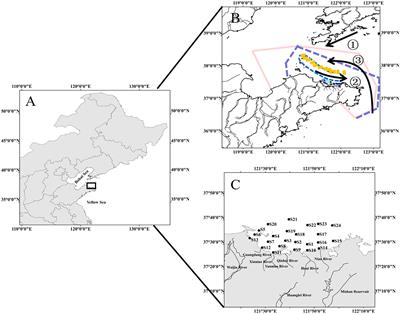 Distribution and ecological health risk assessment of dissolved trace metals in surface and bottom seawater of Yantai offshore, China